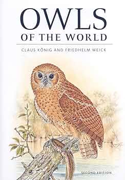 Owls of the World／Revised Edition／フクロウ 61rk5ag++DL._UF350,350_QL50_.jpg
